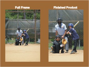 compare.jpg