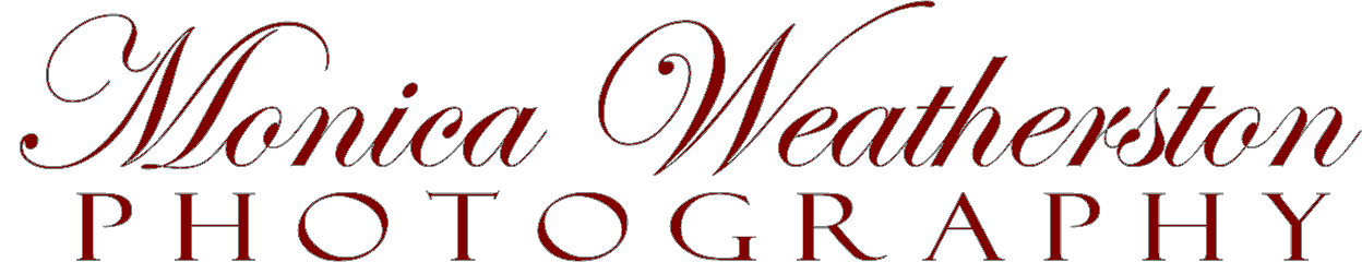 logoonly.gif